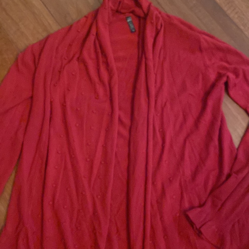 Long Open Front Cardigan by Lapis XL - Picture 3 of 5